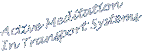 Meditation In Transport